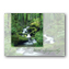 By The Stream Sympathy Cards